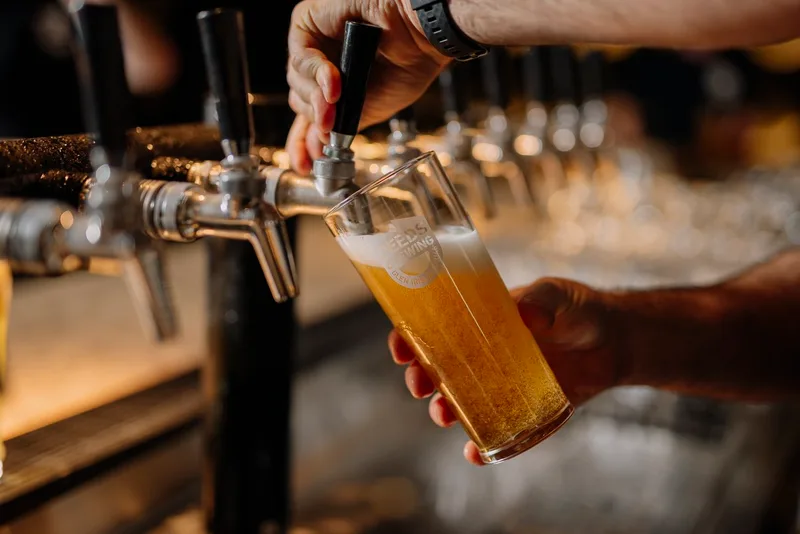 Schop & Draft Beer