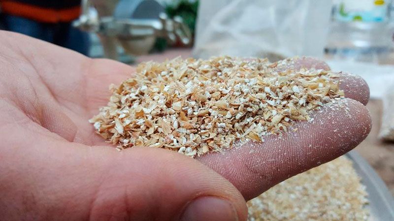Molienda en Grano