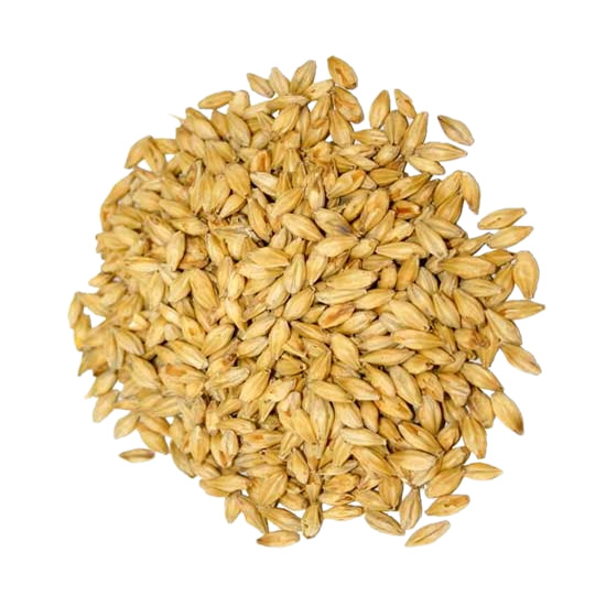 Malta Vienna Patagonia