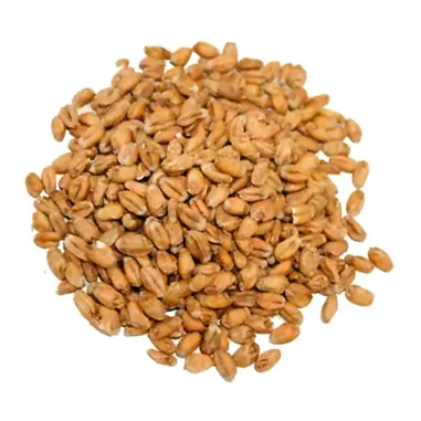 Trigo Malteado Patagonia